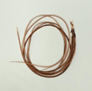 Перо петуха WHITING Brown -5шт.