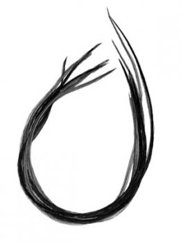 Перо петуха WHITING Black -5шт.